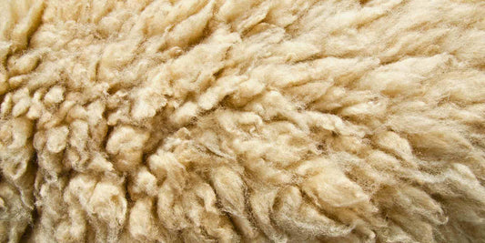 wool underwear men's