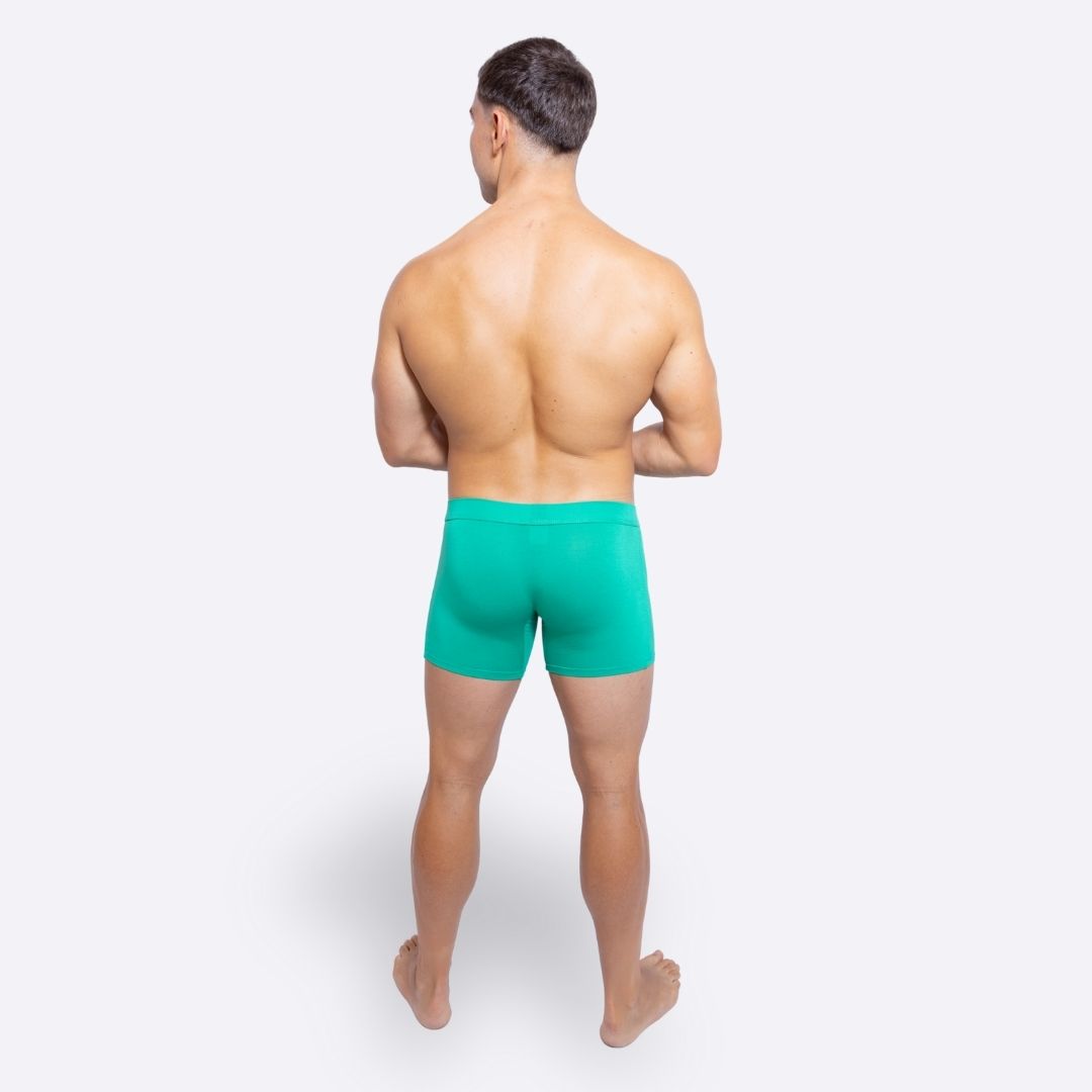 Green boxer shorts back studio