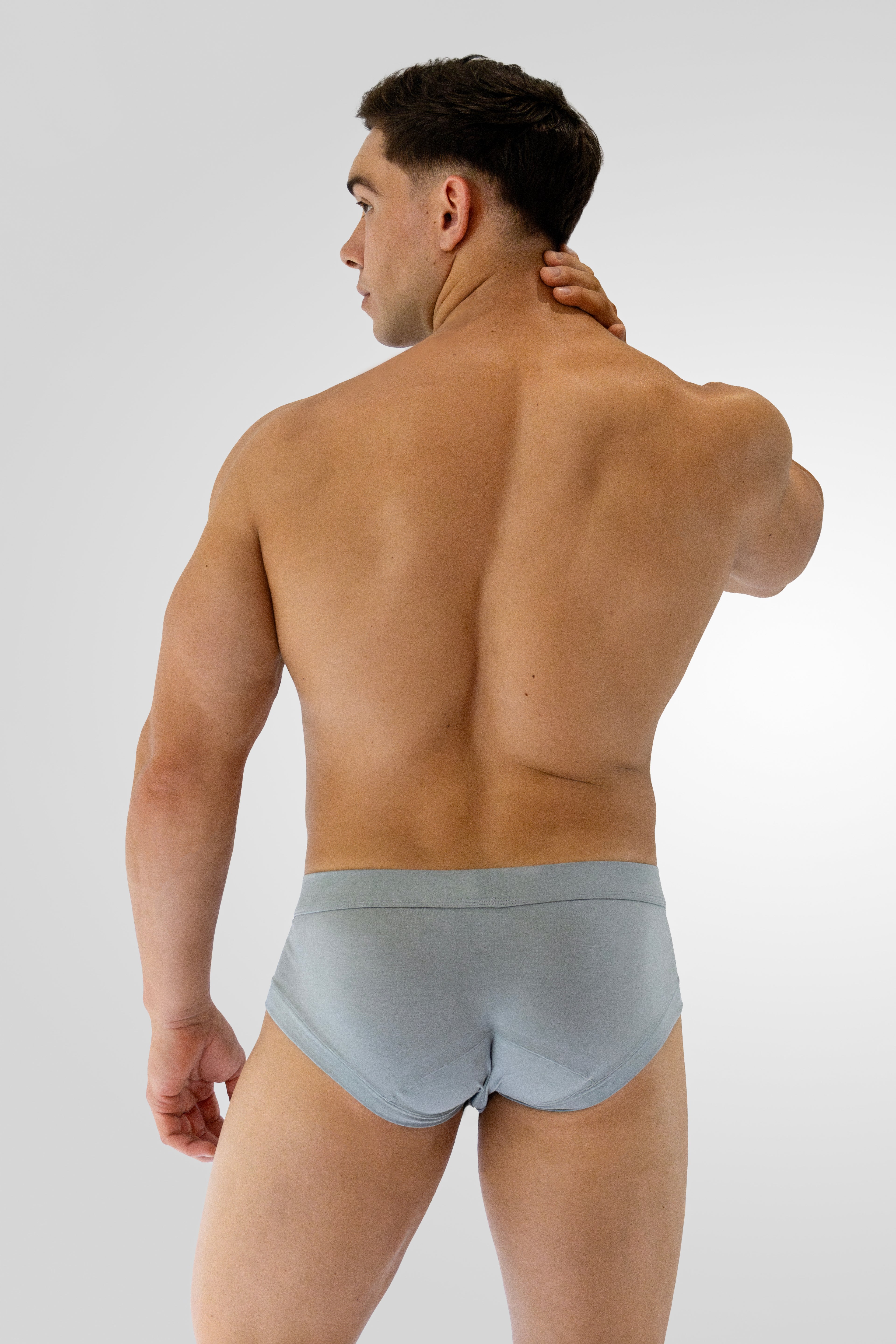 The Blue Gray Brief