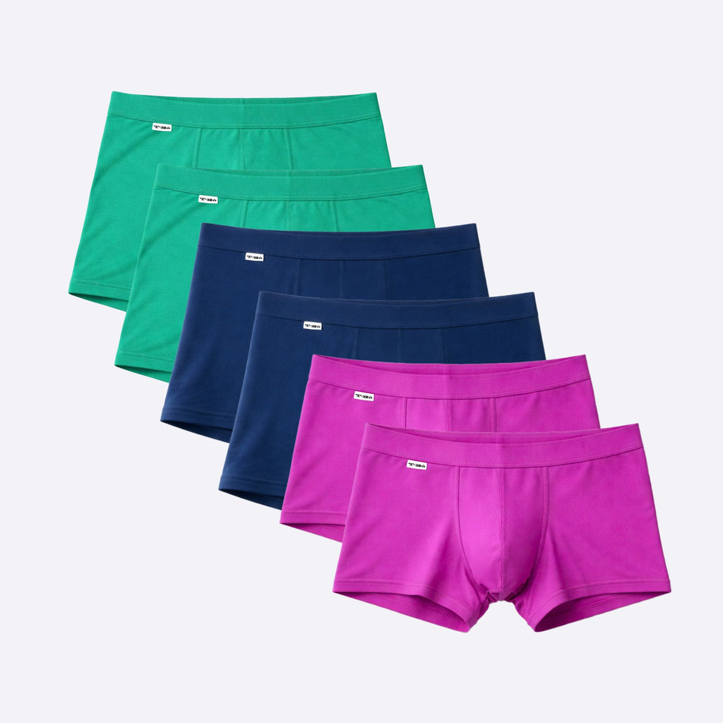 The Color Theory Limited Edition 6-Pack