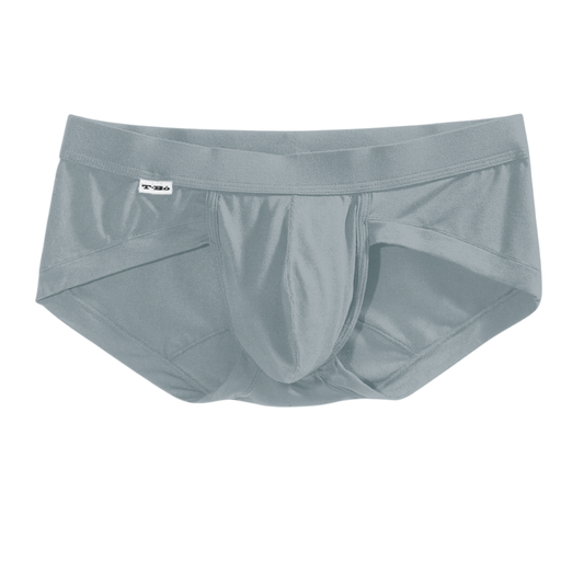The Blue Gray Brief