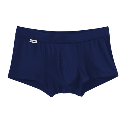 The Navy Blue Trunk