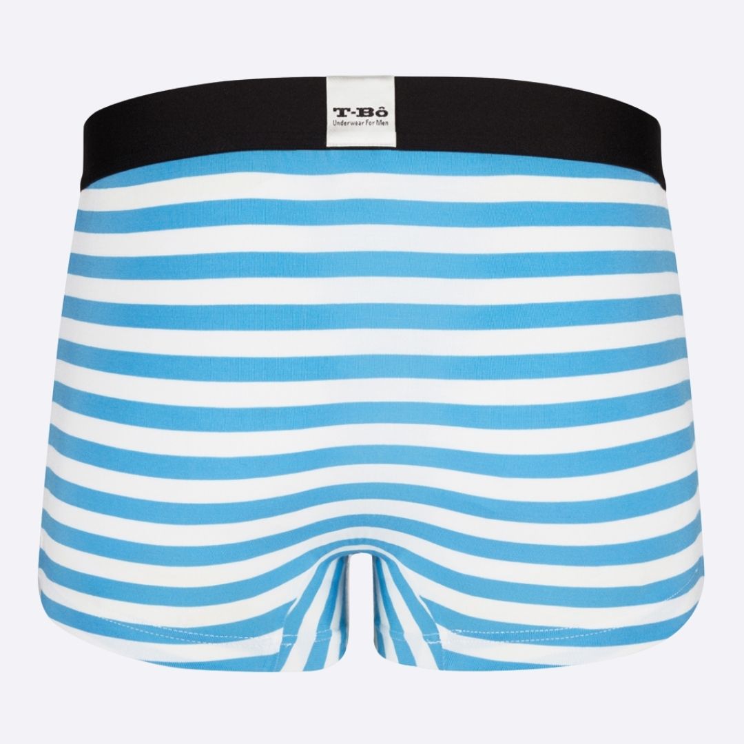 The Ballsy Norse Blue Stripes Trunk