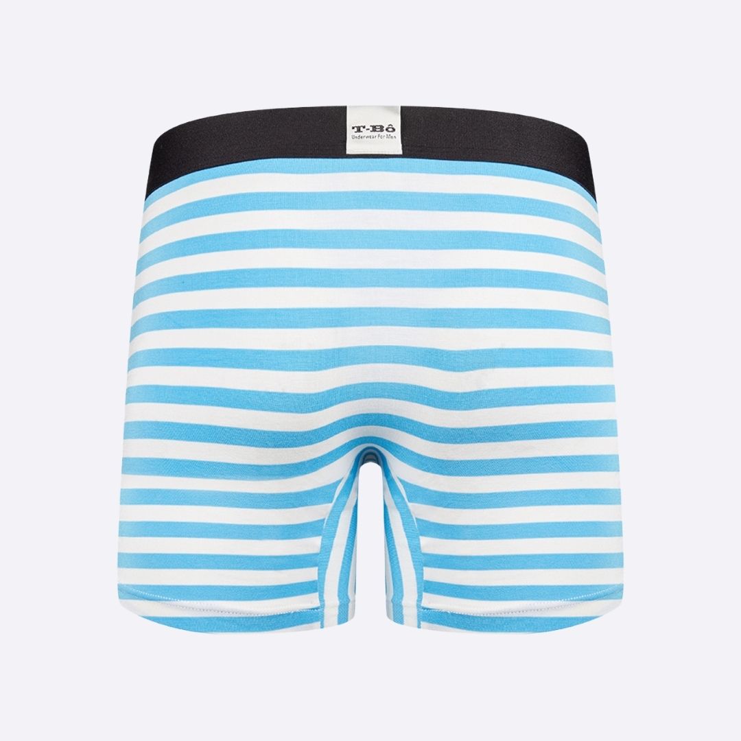 The Ballsy Norse Blue Stripes Boxer Brief